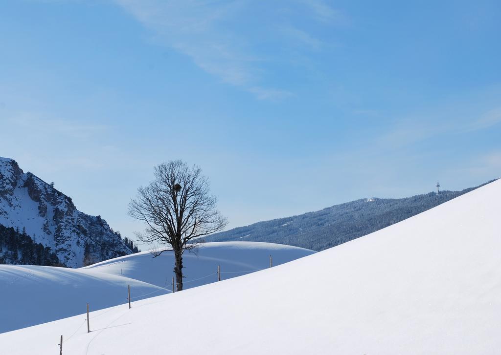 Apartment Obergruberhof ชลัดมิง ภายนอก รูปภาพ