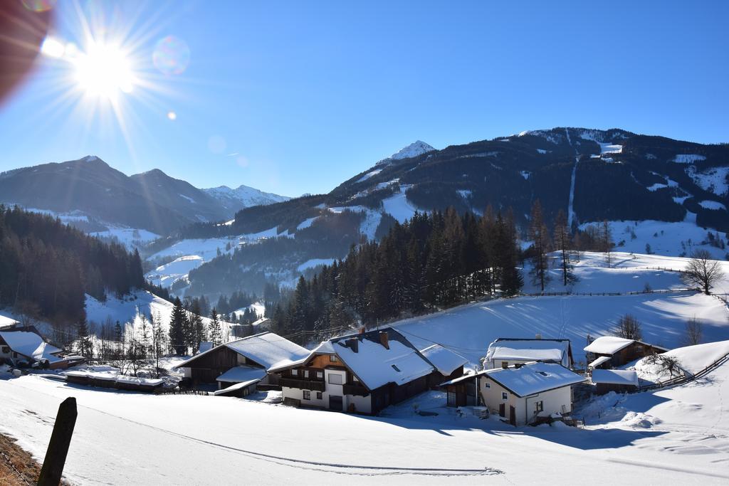 Apartment Obergruberhof ชลัดมิง ภายนอก รูปภาพ